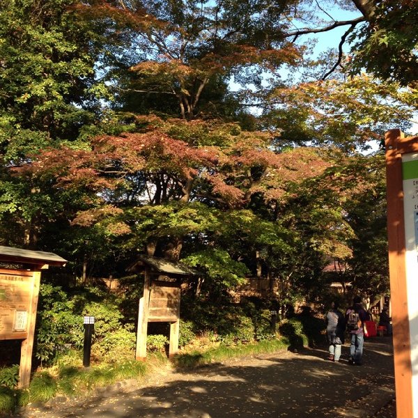 「小石川後楽園」近くの道　「後楽緑道」